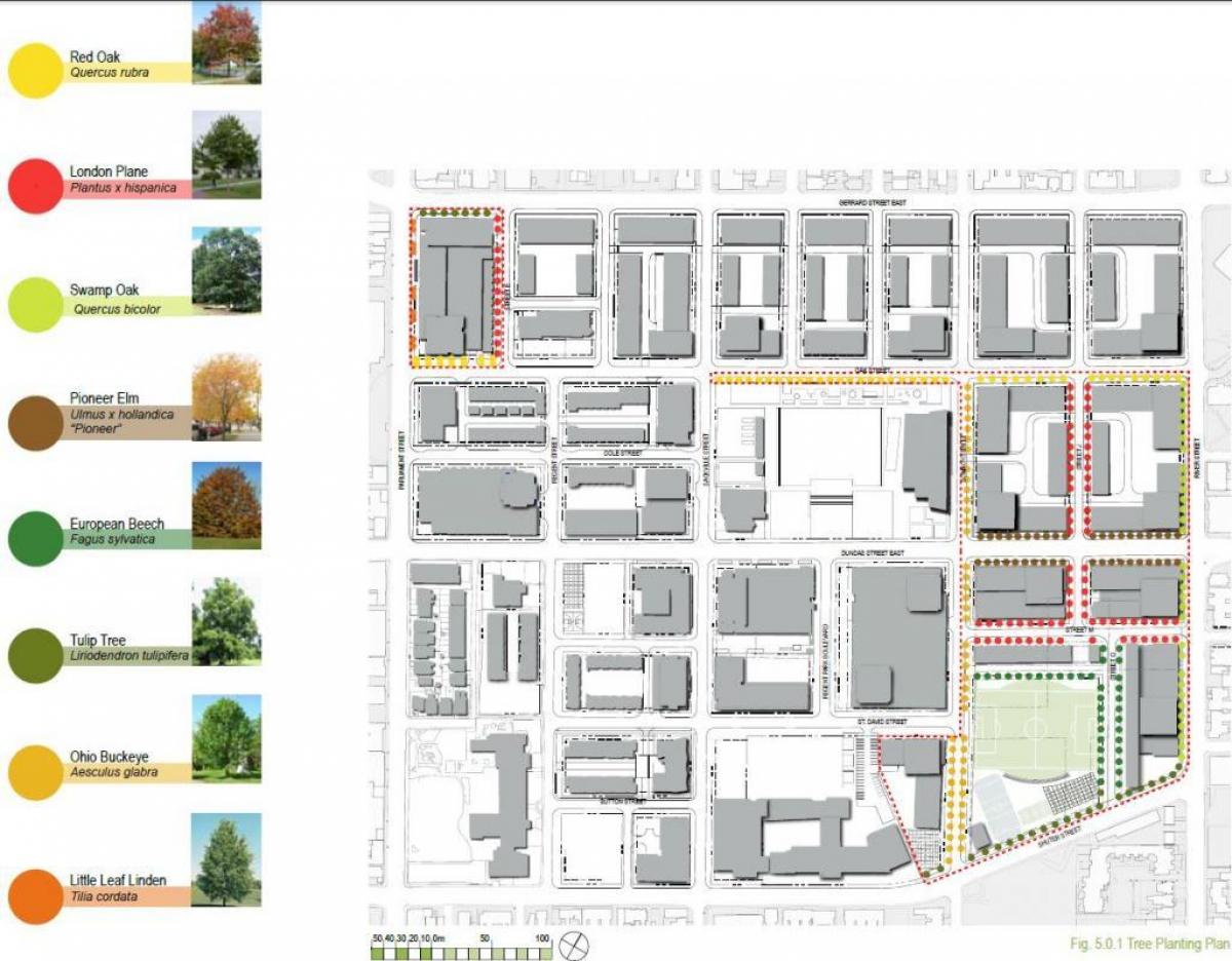 Карта план ревитализације фазе Риджентс-Парк Торонто 3