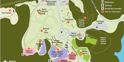Карта Арборетум РБГ 